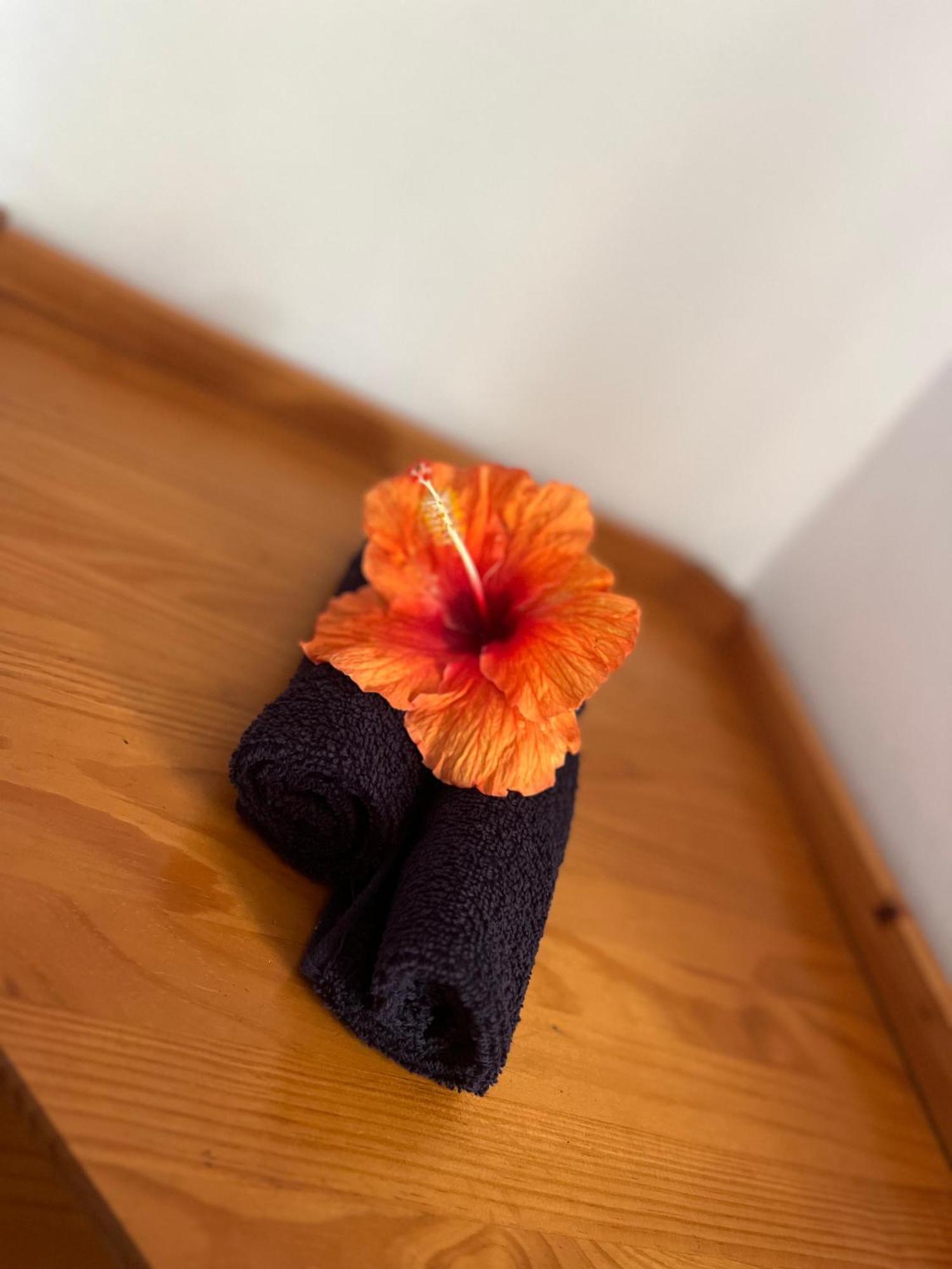 Tiki Lodge Hiva Oa Atuona Экстерьер фото