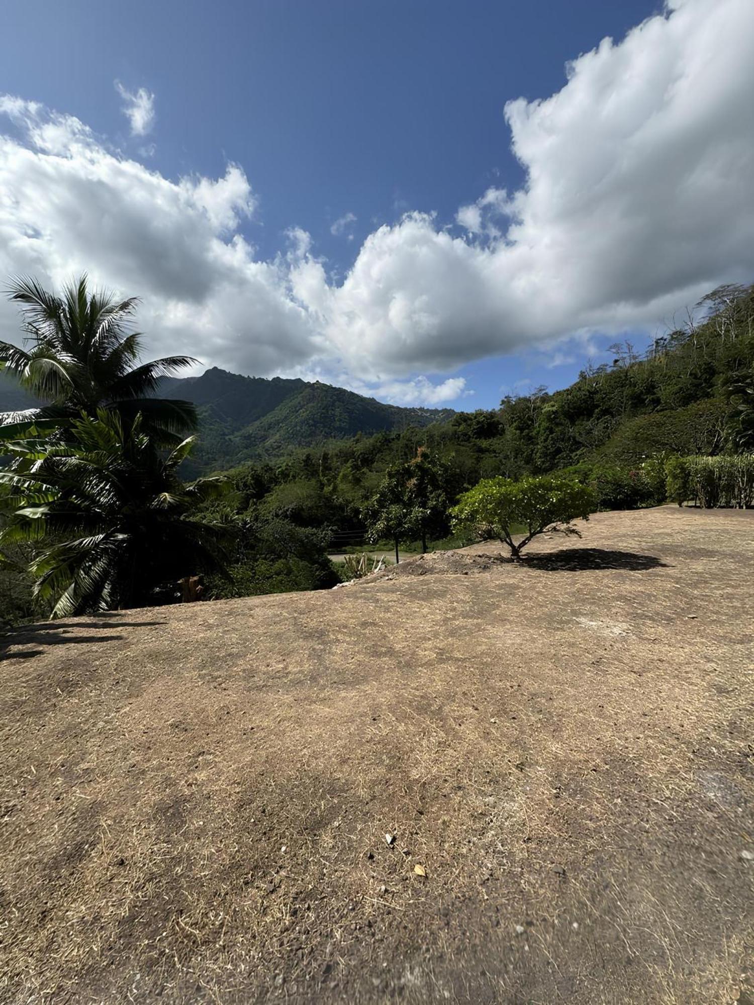 Tiki Lodge Hiva Oa Atuona Экстерьер фото